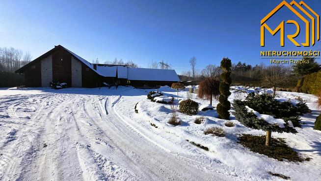 Lokal użytkowy Dąbrowa Tarnowska, Nowa