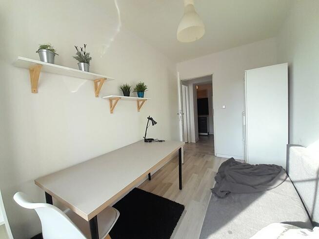 Wynajmę funkcjonalny pokój, Internet, Niedurnego 2