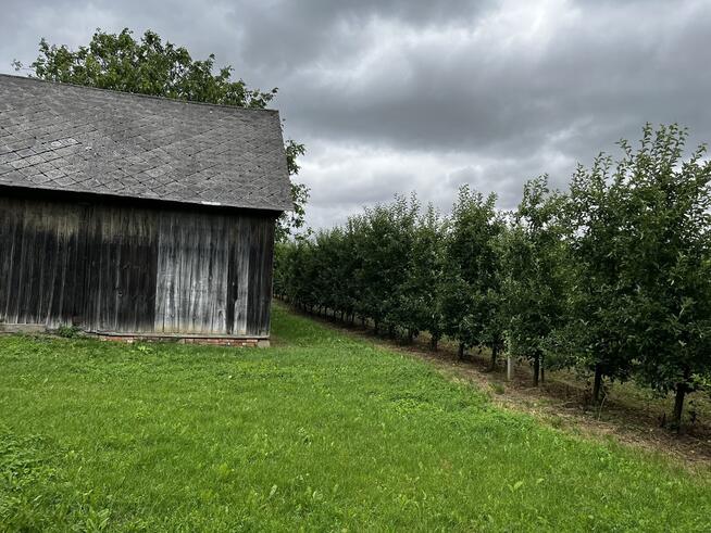 Kazimierz Dolny - dom po remoncie
