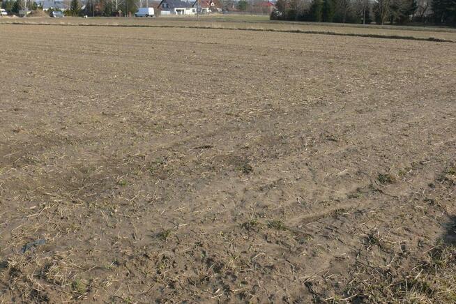 46,3arDZIAŁKA INWESTYCYJNA!!!