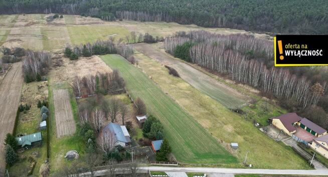 Działka rolna Baszowice gm. Nowa Słupia,