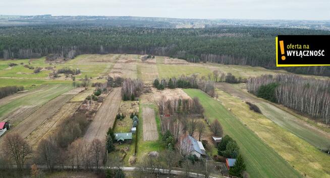 Działka rolna Baszowice gm. Nowa Słupia,
