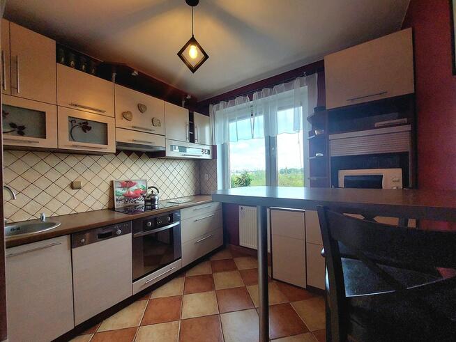 ✅Sprawdź>>>2 pokoje na osiedlu Rajska Jabłoń✅