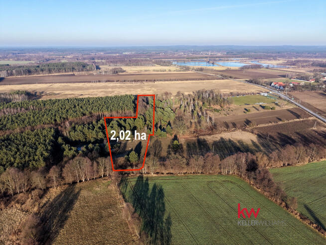 Działka leśna Kuźniczysko gm. Trzebnica,