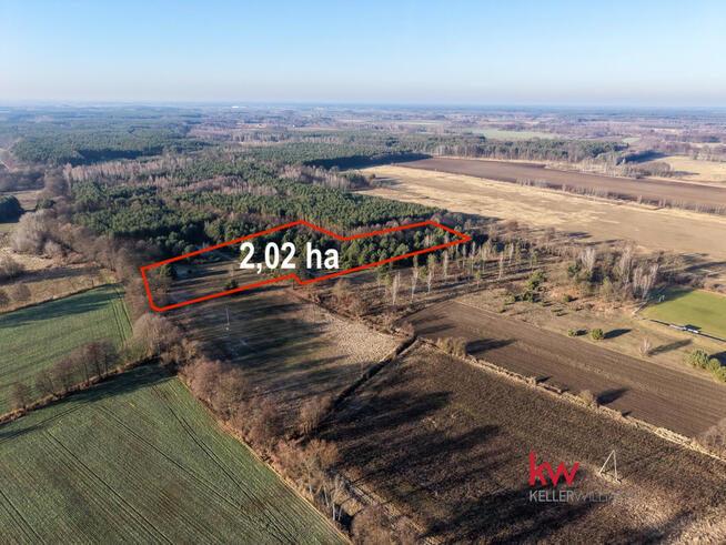 Działka leśna Kuźniczysko gm. Trzebnica,