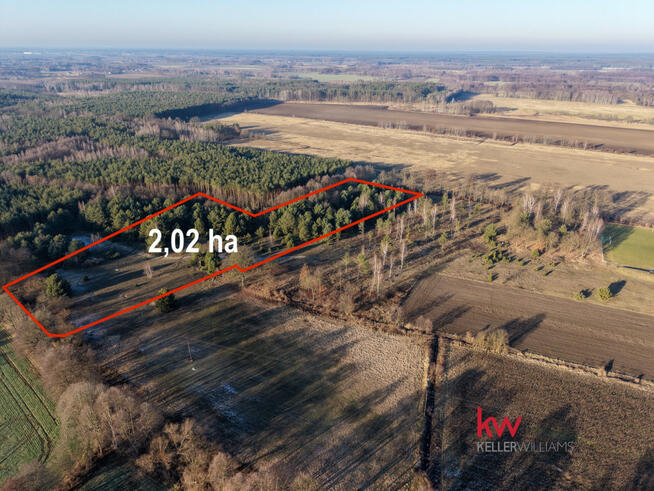 Działka leśna Kuźniczysko gm. Trzebnica,