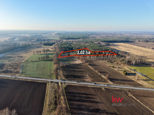 Działka leśna Kuźniczysko gm. Trzebnica,