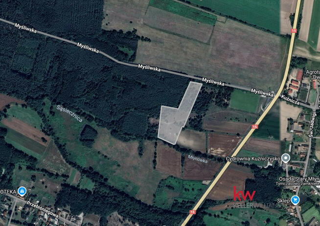 Działka leśna Kuźniczysko gm. Trzebnica,