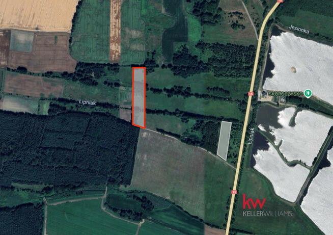 Działka rolna Kuźniczysko gm. Trzebnica,