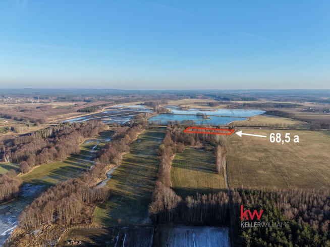 Działka rolna Kuźniczysko gm. Trzebnica,