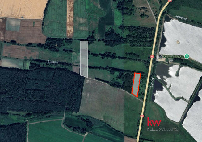 Działka rolna Kuźniczysko gm. Trzebnica,