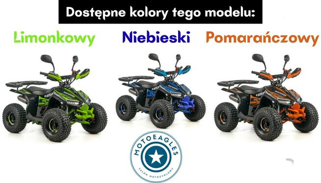 ASIX Inny Quad ASIX Muddy 110 Transport Raty Fvat Licznik Światła LED Automat
