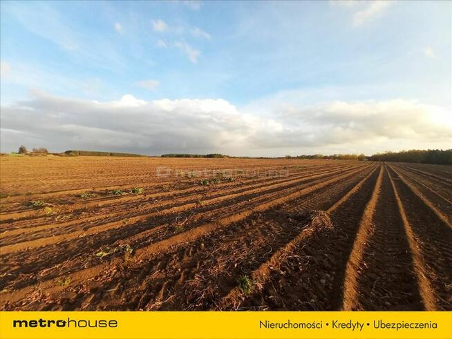 Dwie działki o łącznej powierzchni 0,595 ha