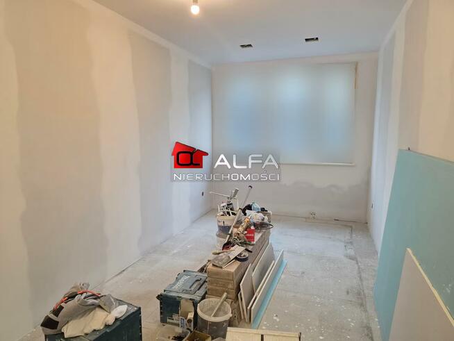 Mieszkanie Świdnica, okolice parku