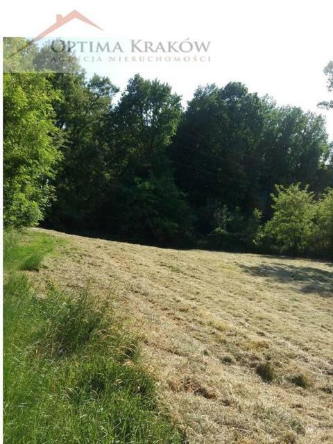 Działka rolna Kraków Bieżanów-Prokocim, Bieżanów, Stanisława Pronia