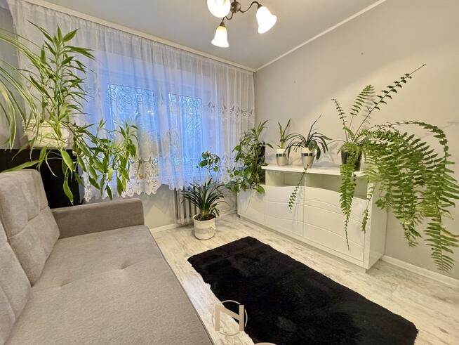 Mieszkanie Gorzów wielkopolski Os. staszica