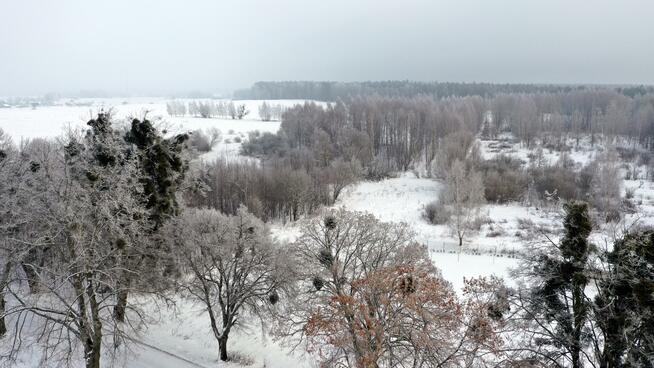 Działka budowlana Harsz gm. Pozezdrze
