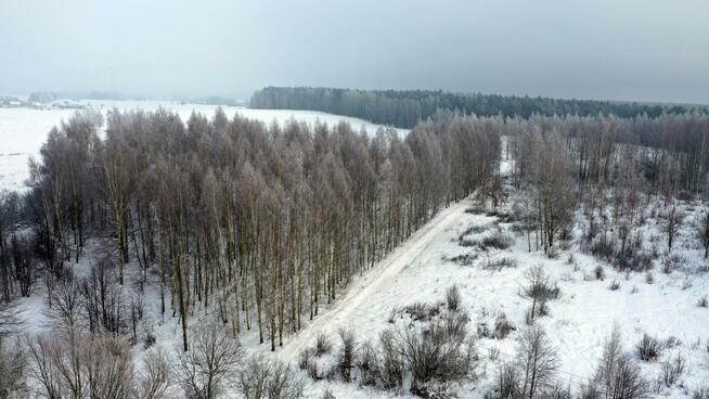 Działka budowlana Harsz gm. Pozezdrze