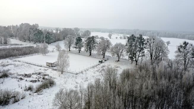 Działka budowlana Harsz gm. Pozezdrze