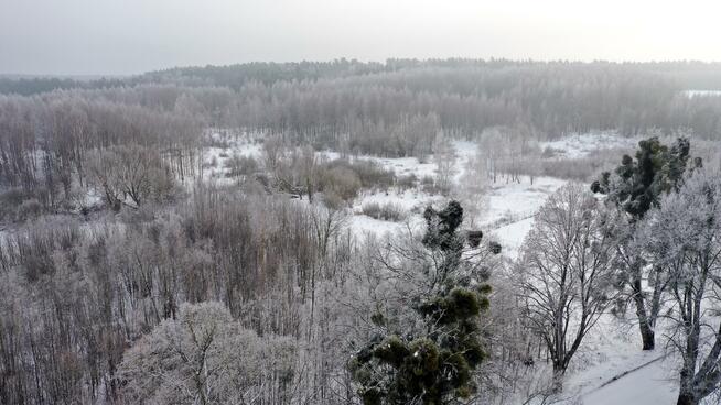 Działka budowlana Harsz gm. Pozezdrze