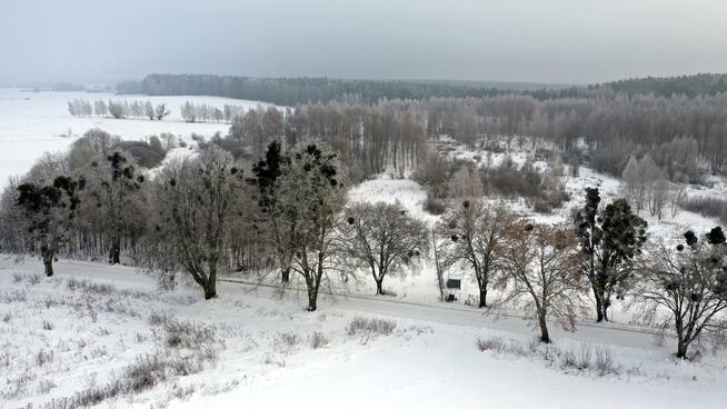 Działka budowlana Harsz gm. Pozezdrze