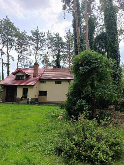 Wynajmę dom w lesie – Dębniak, gm. Zgierz – 100 m²
