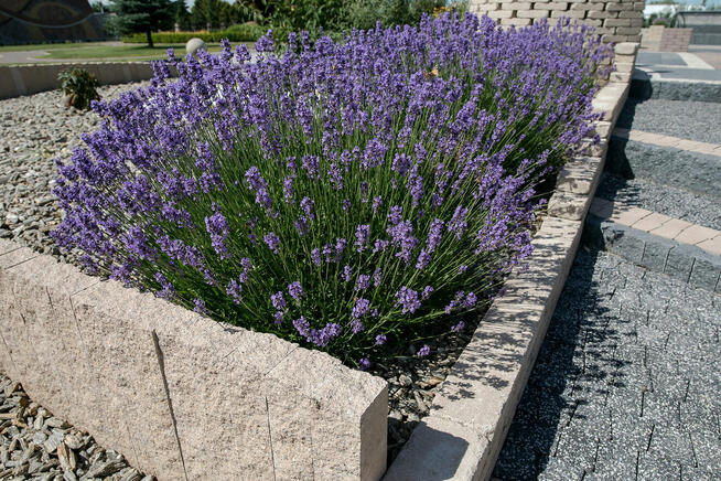Twój Ogród z GOLDBRUK – Stylowa Kostka Brukowa i Galanteria