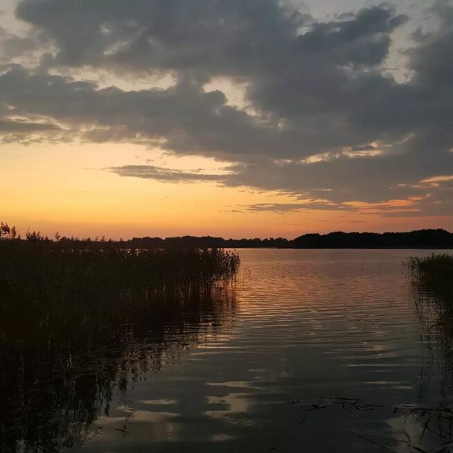 Dom na Mazurach Alicja