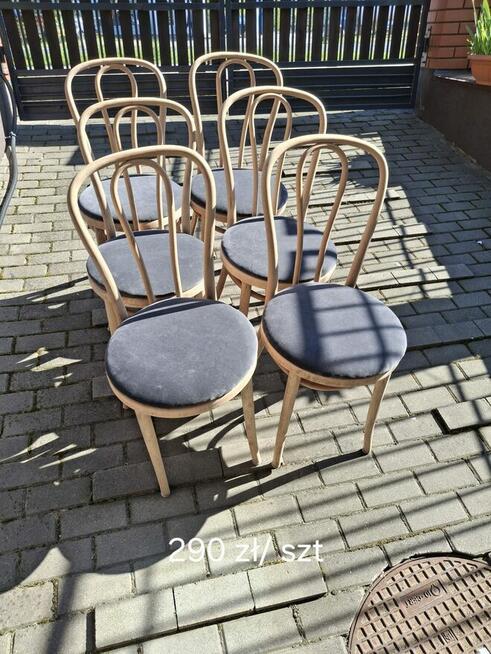 Krzesła drewniane gięte