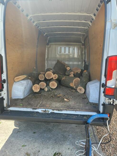 Transport Bus -Szybki euro 6-Utylizacja Transport