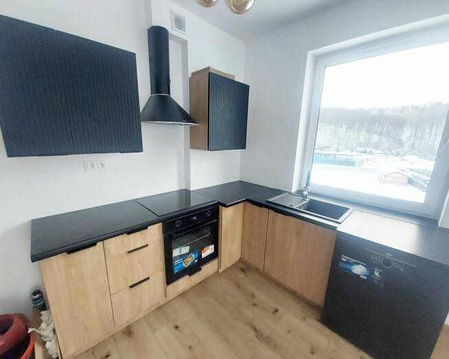 2 mieszkania dwupoziomowe w Hoczwi, pow. Leski, Bieszczady –