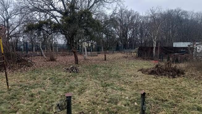 Działka ROD 450m2 Wrocław, ul. Obornicka