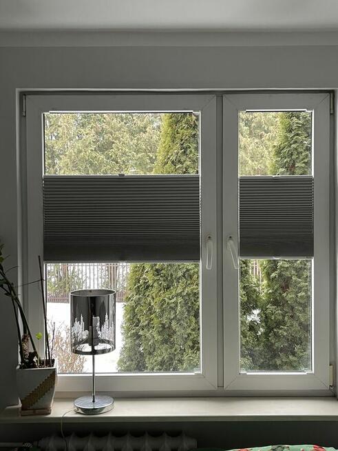 3-pokojowe mieszkanie z widokiem na zieleń, parter - Wośniki