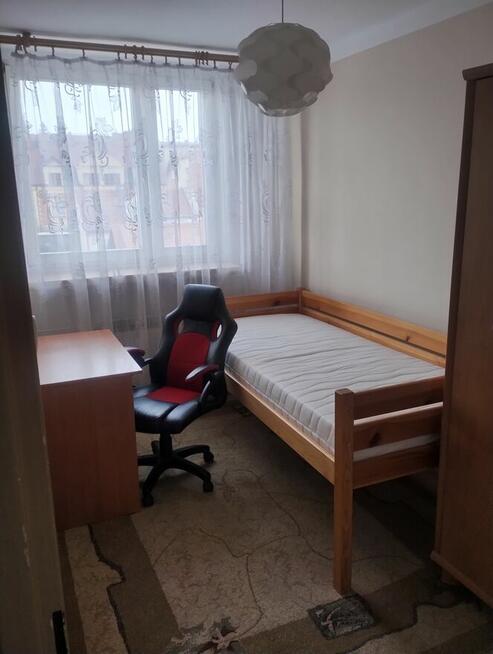 Mieszkanie do wynajęcia