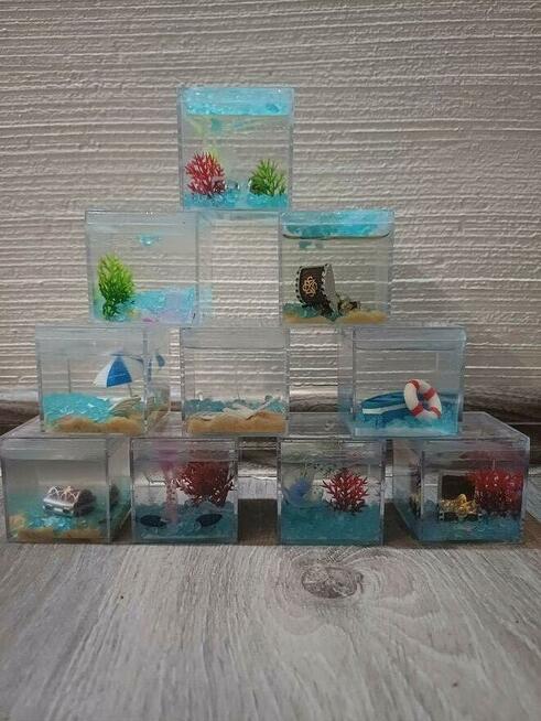Małe akwaria dekoracyjne