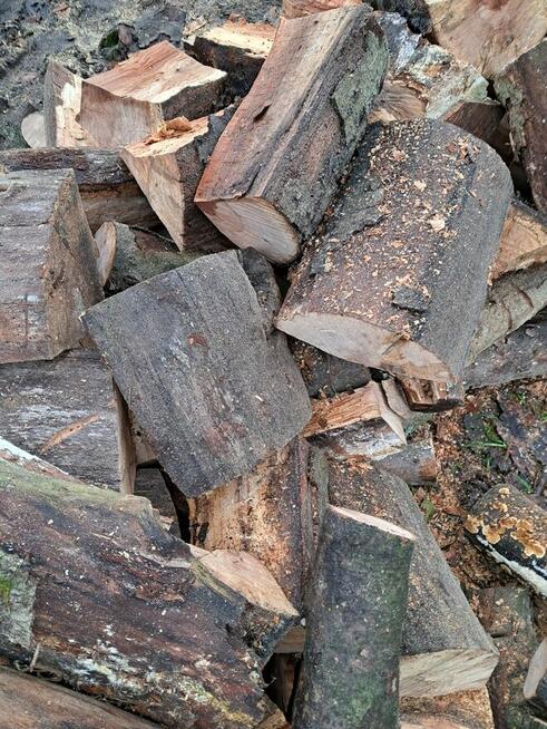 Drewno Kominkowe I Gałęziówka Buk Dąb Grab Brzoza Sosna