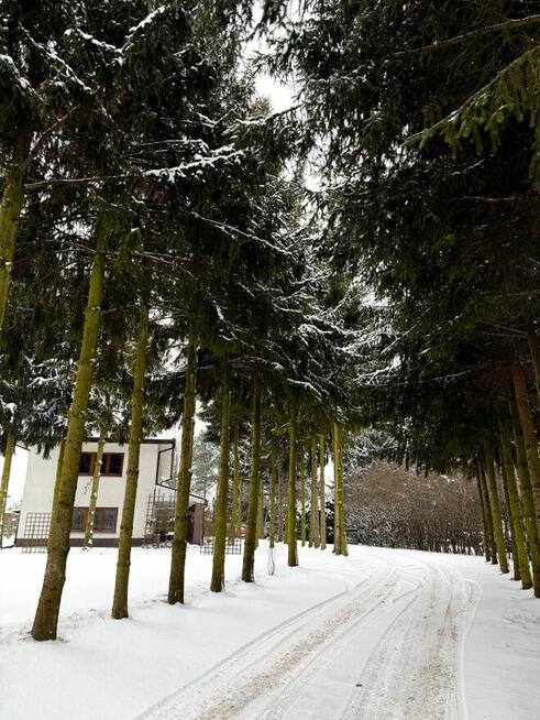 Piękny Dom 235 m2, dzialka 1800, + pom. do prowadzenia dzial