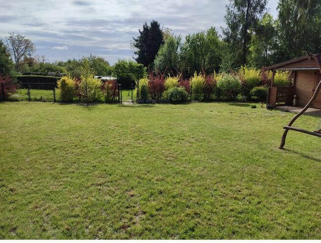 Działka z domkiem ROD Narcyz w Kielcach.