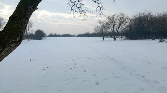 Dom po kapitalnym remoncie z działką 75arów KOBIERNIKI k. SA