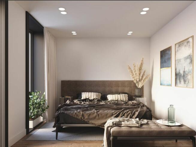 Modular House 38 m² with Terrace