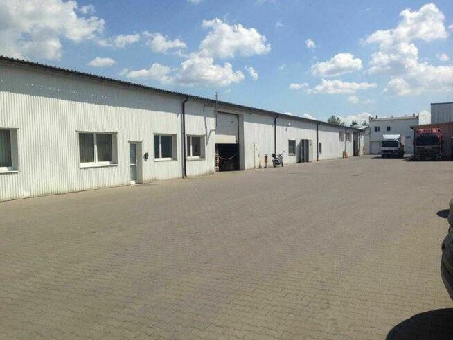 Magazynowanie, Usługi Celno-mag, pełna obsługa