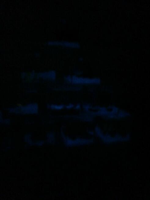 Małe akwaria dekoracyjne