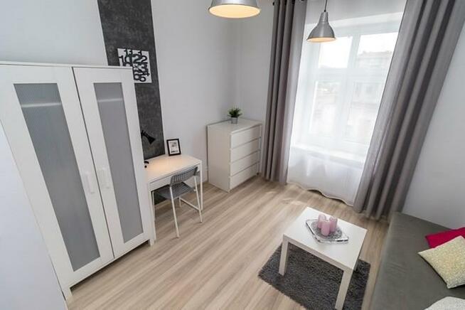 Kawalerka przyjazna dla zwierząt, Pabianicka 34