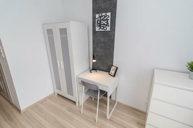 Kawalerka przyjazna dla zwierząt, Pabianicka 34