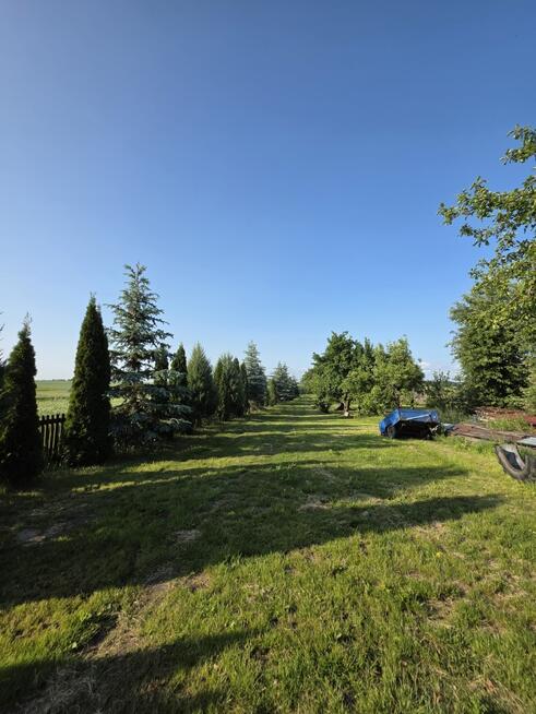 Dom 3 pokoje Hajnówka - działka 5000 m2