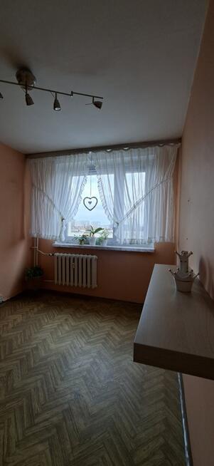 Katowice, 4 pokojowe mieszkanie, bez pośredników