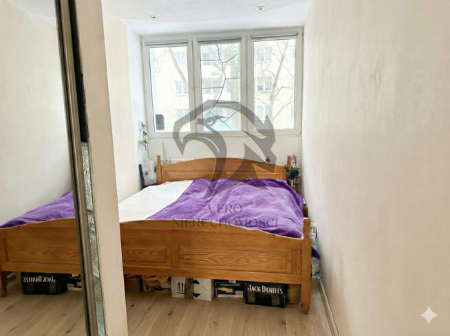 Tajemniczy Ogród w Miejskiej Dżungli