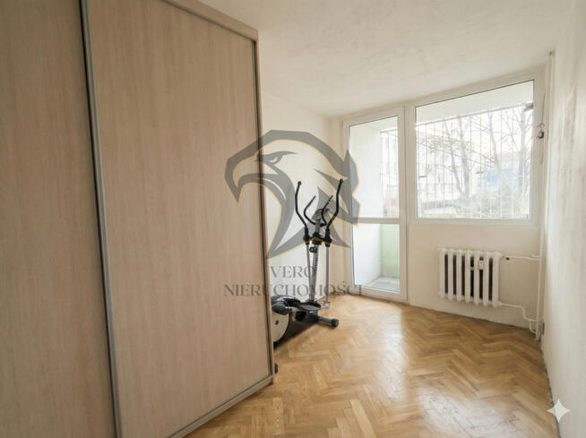 Tajemniczy Ogród w Miejskiej Dżungli