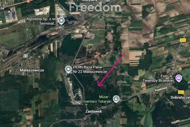 Las w Zastawku pod Terespolem 2ha