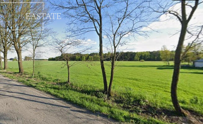 Działka inwestycyjna Trojany gm. Dąbrówka, Trojany